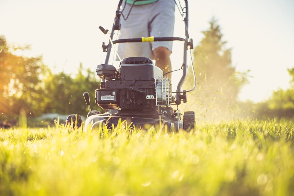 40V Cordless Leaf Blowers: Find the Right One for Your Yard