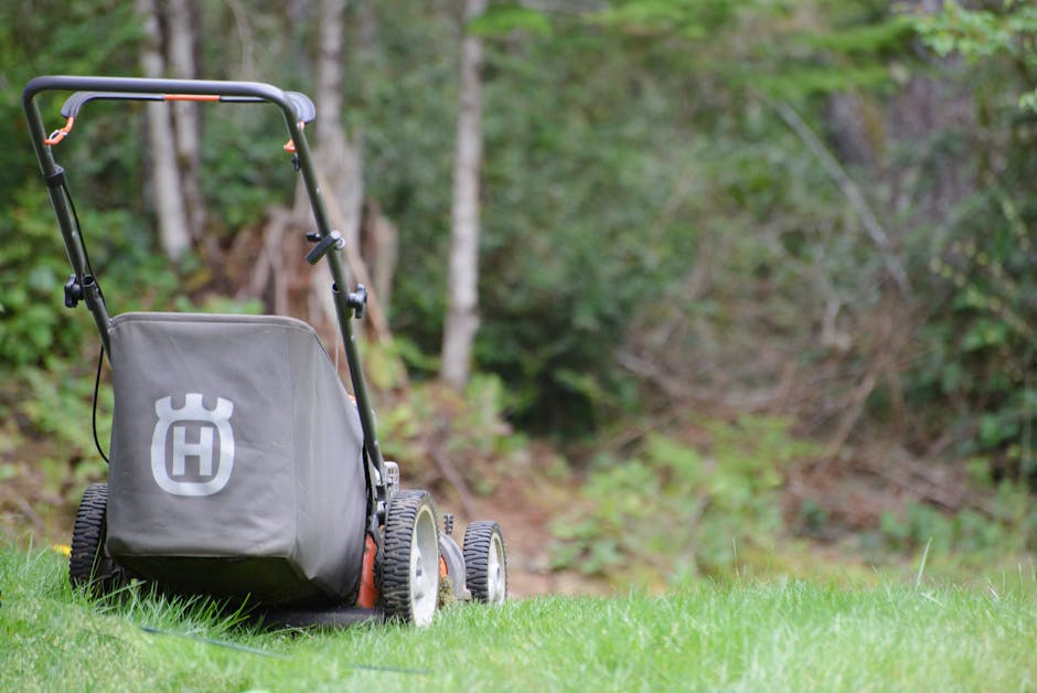 Stihl Battery Operated Leaf Blower Review