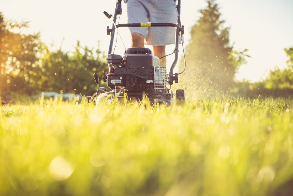 DeWalt 20V MAX Cordless Lawn Mower Review
