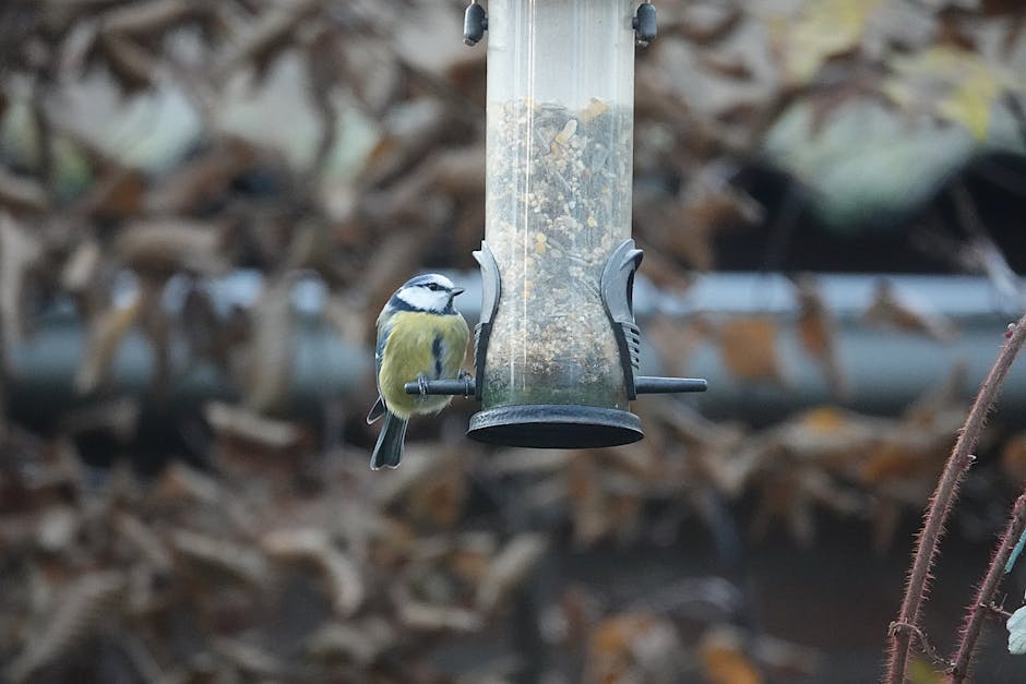 Bird Bath For Deck Railing