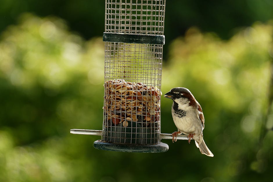 Bird Bath For Deck Railing
