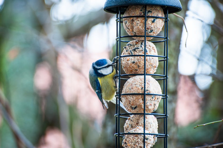 Bird Bath For Deck Railing