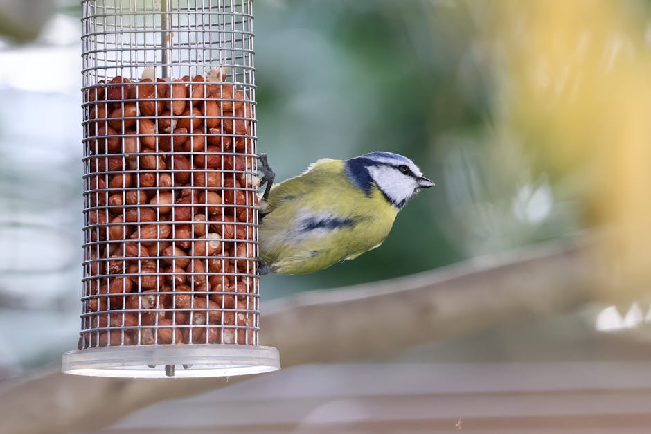 Bird Bath For Deck Railing