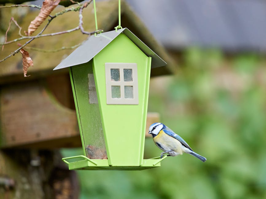 Solar Bird Bath Bubbler