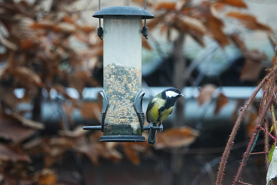 Solar Bird Bath Bubbler