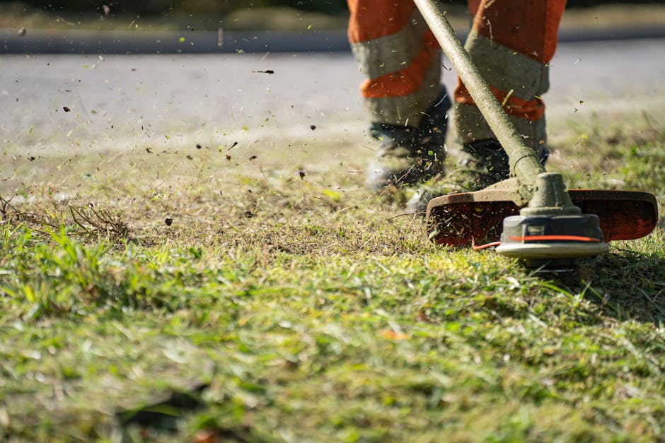 5 Gutter Cleaner Leaf Blowers for Safe Ground Cleaning