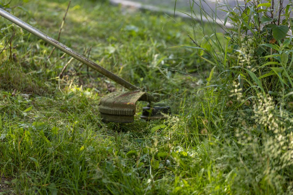 Pushing Leaf Blower: 4 Tools for Different Yards