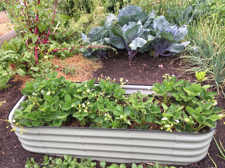 Cedar Raised Bed Kit Review: Greenes Fence Premium