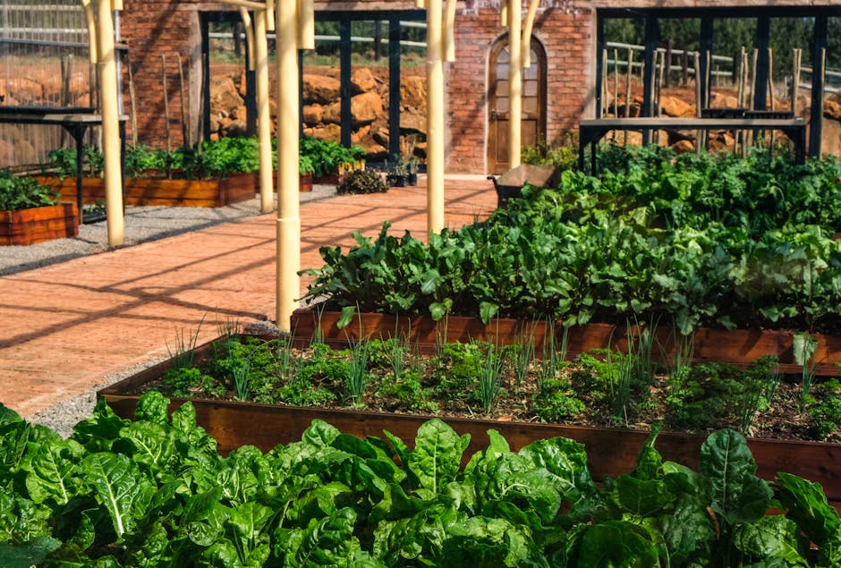 Birdies Metal Raised Garden Bed Review: Deck & Patio