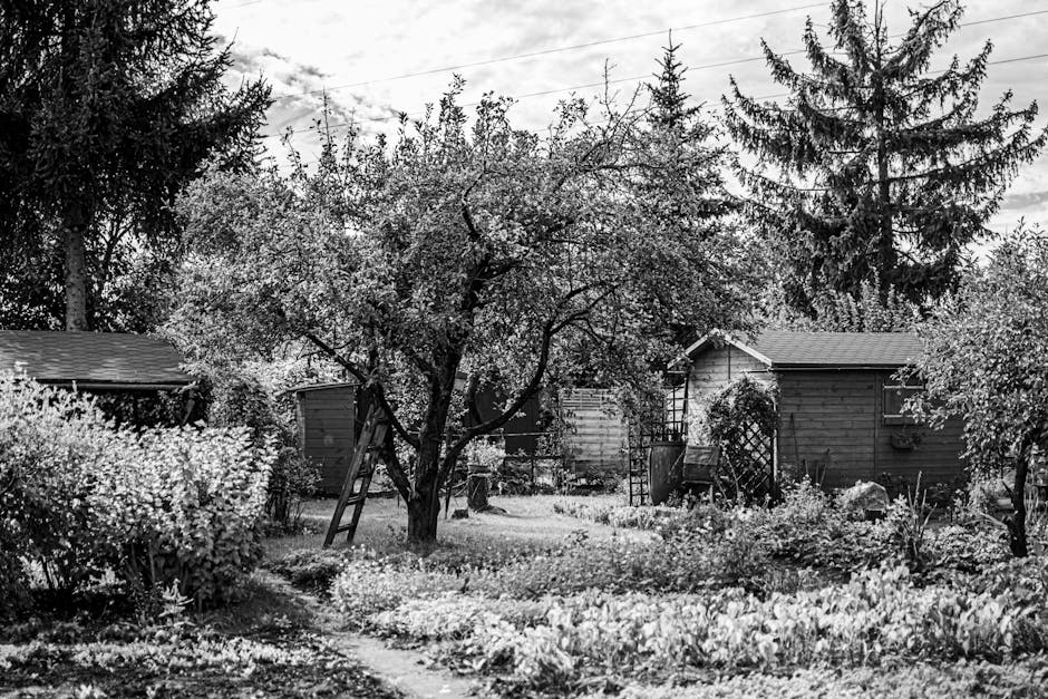 Shipping Container Garden Shed Buyer Guide